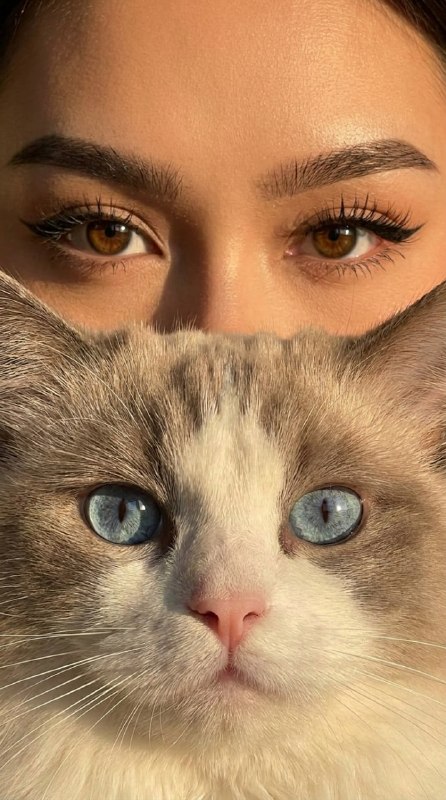 Создаем фото с питомцемВажно! Чтобы добиться такого...