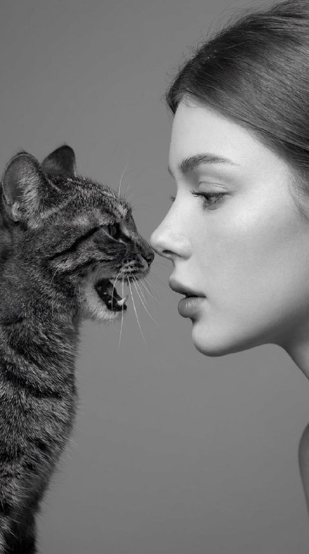 Фото с котиком Генерируем трендовую фотосессию с...