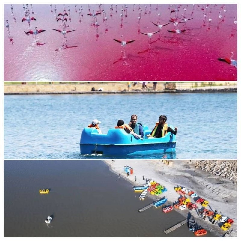 دریاچه صورتی مهارلوی شیراز، سراب نیلوفر کرمانشاه...