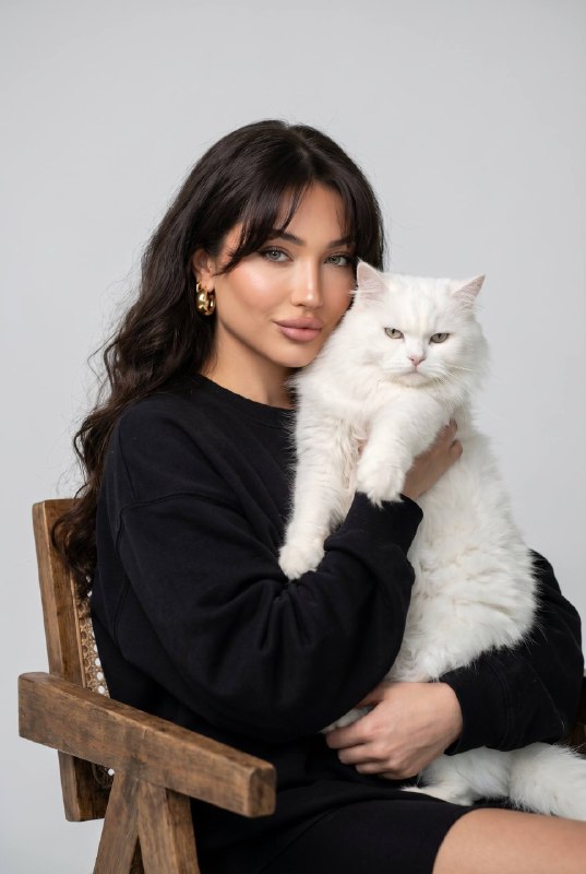 Cat Companion Меню создать изображение NANO BANANO...