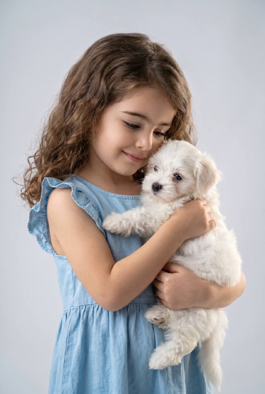 Puppy Hug Меню создать изображение NANO BANANO...